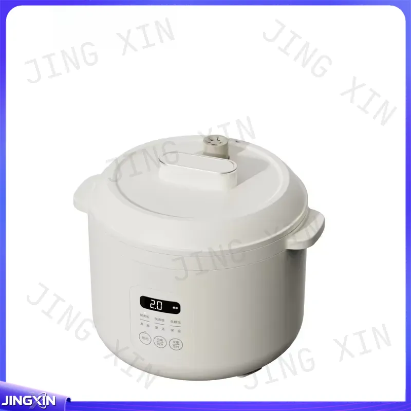 Autocuiseur Électrique Double  - Kitchen Appliances Lowes avis et prix