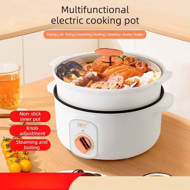 Mini-casserole électrique mult - Kitchen Appliances Home avis et prix