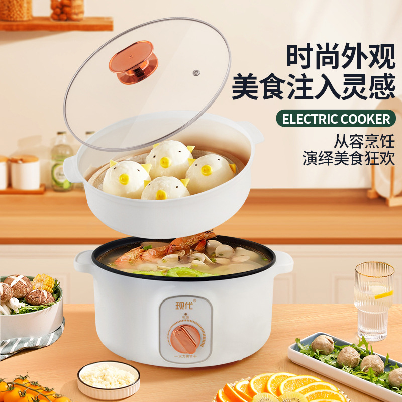 Mini-casserole électrique mult - Kitchen Appliances Home avis et prix