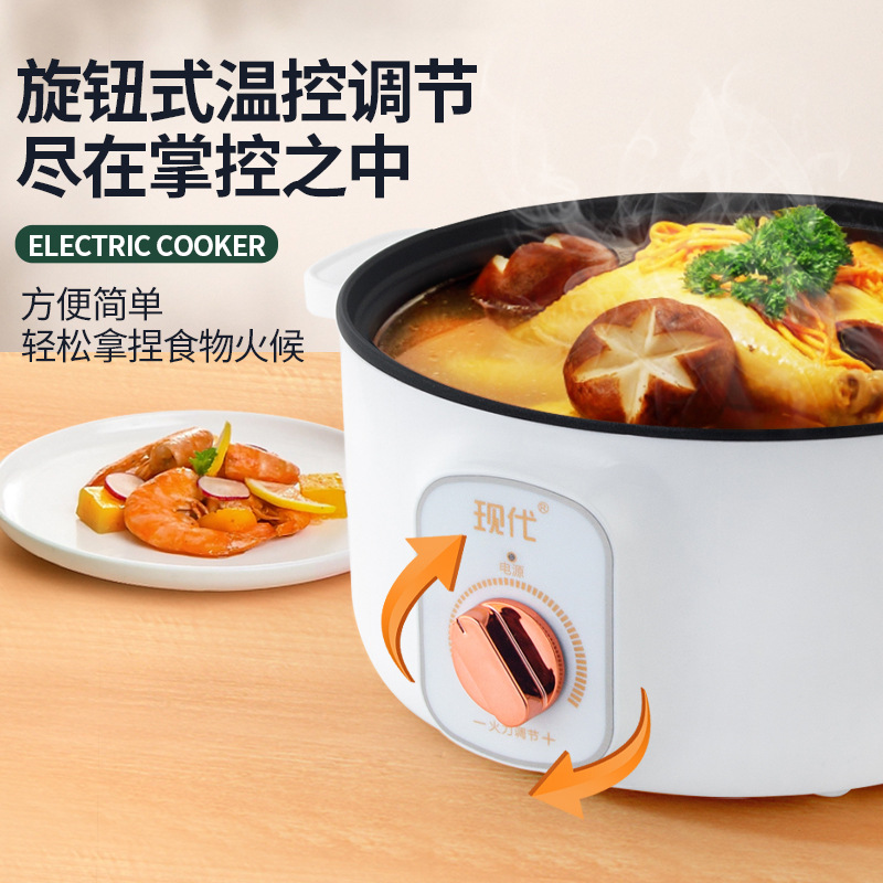 Mini-casserole électrique mult - Kitchen Appliances Home avis et prix